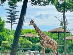 -常州淹城野生动物世界