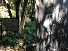 -严子陵钓台(富春江小三峡)