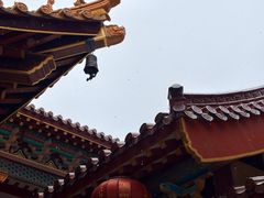 -东天目山风景区