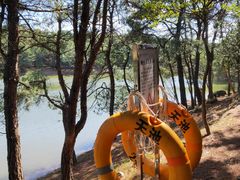 -南京市无想山景区