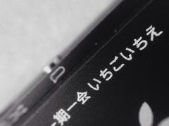 -柴务处·柴犬主题狗咖