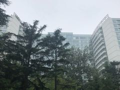 -中国人民解放军总医院(301医院)