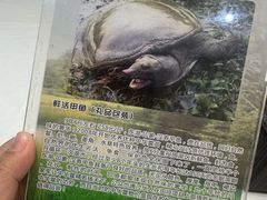 -东湖印象汉寿特色甲鱼钵子菜(渔人码头店)