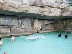 -杭州开元森泊度假乐园