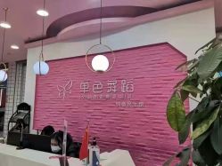 -单色舞蹈