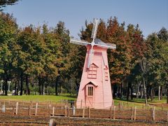 -顺峰山公园