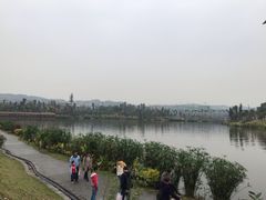 -枫香湖儿童公园