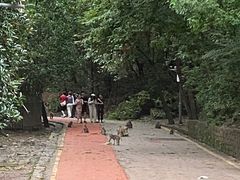 -黔灵山公园