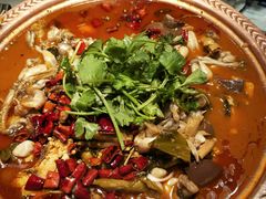 -沪小二炭火蛙锅(淮海中路美食不夜城店)
