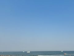 -日照海滨国家森林公园