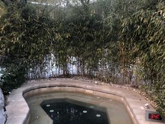 -大连金石滩绿发温泉假日酒店