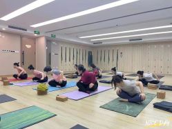 -酉嘉瑜伽YO+YOGA