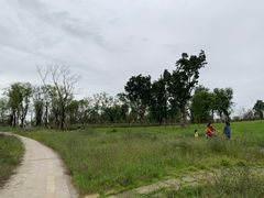 -白鹭湾湿地公园