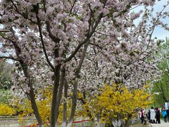 -元大都城垣遗址公园