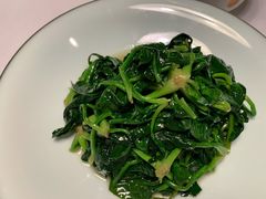 鸡毛菜-同庆楼(金宝汇店)