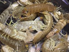 -渔傅·蓝海岸霞浦海鲜(正祥店)