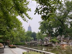 -红梅公园