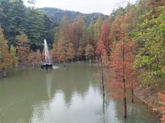 -广州市帽峰山景区