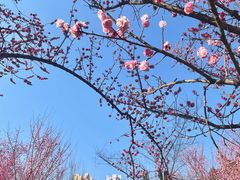 -阿哈湖国家湿地公园