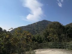 -木兰云雾山