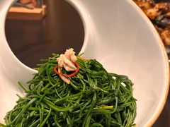 -蒙料·手把肉(望京店)