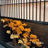 心心念念想吃的omakase終於開業了