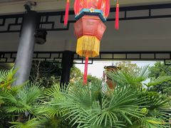 -映月湖公园