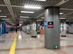 -大望路(地铁站)