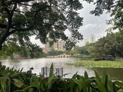 -荔湾湖公园