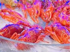 -红盔甲·小龙虾(定西路店)