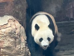 -石家庄市动物园