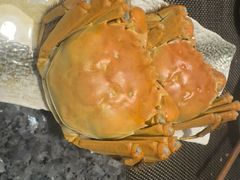 -菊上料理(蜀山银泰百货店)