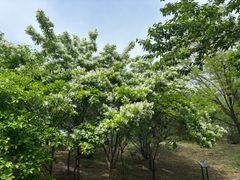 -国家植物园南园