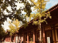 -西安大兴善寺