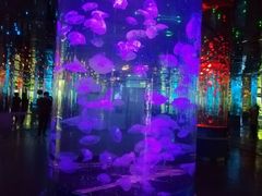 -石家庄海洋公园