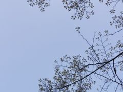 -重庆中央公园(渝北区)