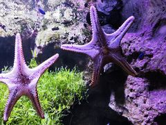 -郑州海洋馆
