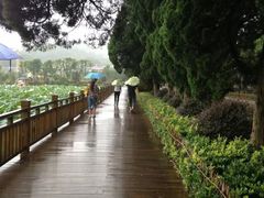 -古田会议纪念馆
