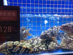 -徐记海鲜(汉城湖|太奥店)