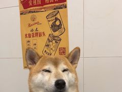 -老吴家川菜(昭化路店)