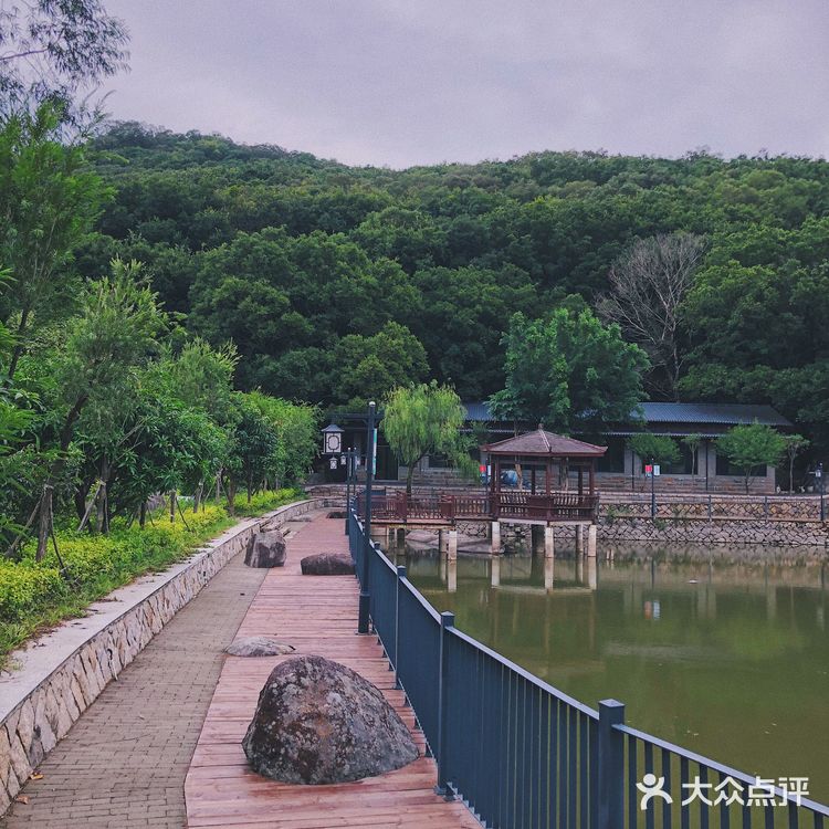 泉州的世外桃源🌳逃离城市 去享受大自然