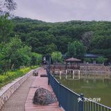 泉州的世外桃源🌳逃离城市 去享受大自然