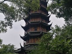 -红梅公园
