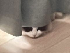 -剧狐剧本杀·月球探案馆(人民广场1号店)