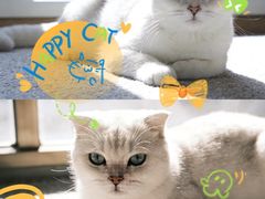 -宠物家(大兴旧宫店)