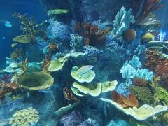 -福州罗源湾海洋世界旅游区