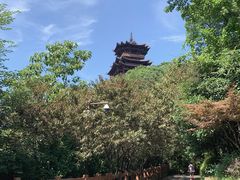 -杭州半山国家森林公园