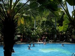 -100蛋泥浆浴
