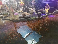 -鸿通城购物中心