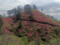 -木兰云雾山
